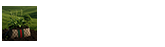 $GOAL Logo